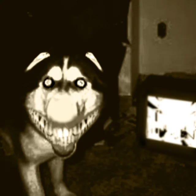 Primeira foto original do Smile Dog