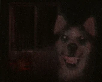 Smile Dog: A História por Trás da Creepypasta